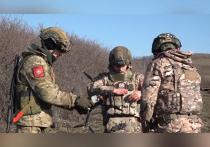 Пока западные СМИ обсуждают тему временного перемирия на Украине, на передовой по-прежнему кипит боевая работа
