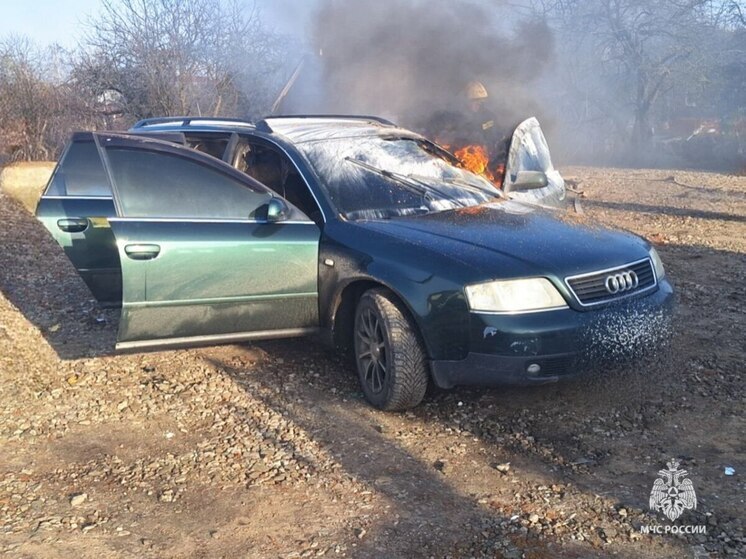 В брянском Сураже сгорел легковой автомобиль