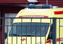Стали известны подробности трагедий с двумя 13-летними подростками, которых нашли мертвыми 12 марта в разных округах Москвы с характерными при суициде травмами