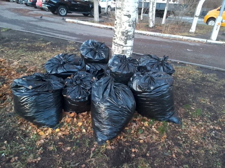 В Астрономическом бастионе Калининграда проведут масштабный субботник