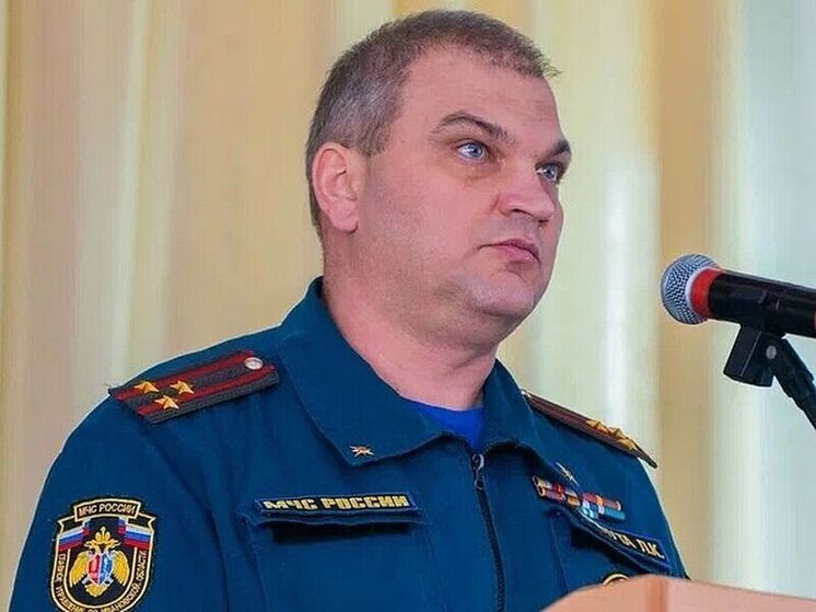 РИА Новости: замглавы курского МЧС Припуту уволили после проверки