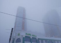 В Северную столицу пришла непогода – снегопады, которые сменяются дождями