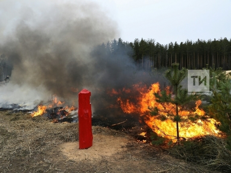 В Татарстане противопожарный режим планируют ввести с 21 апреля