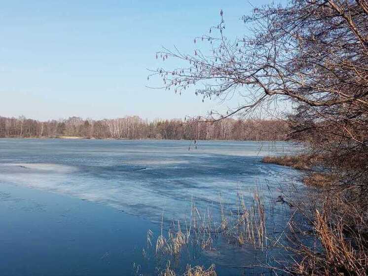 Липчане продолжают выходить на тонкий лед: что за это грозит