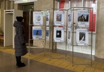 На железнодорожном вокзале Нижнего Тагила начала работу выставка работ участников международного детско-юношеского проекта – премии «Экология – дело каждого»