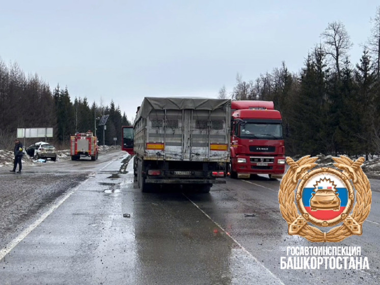 Иномарка столкнулась с фурой в Башкирии: водитель погиб, пассажирка пострадала