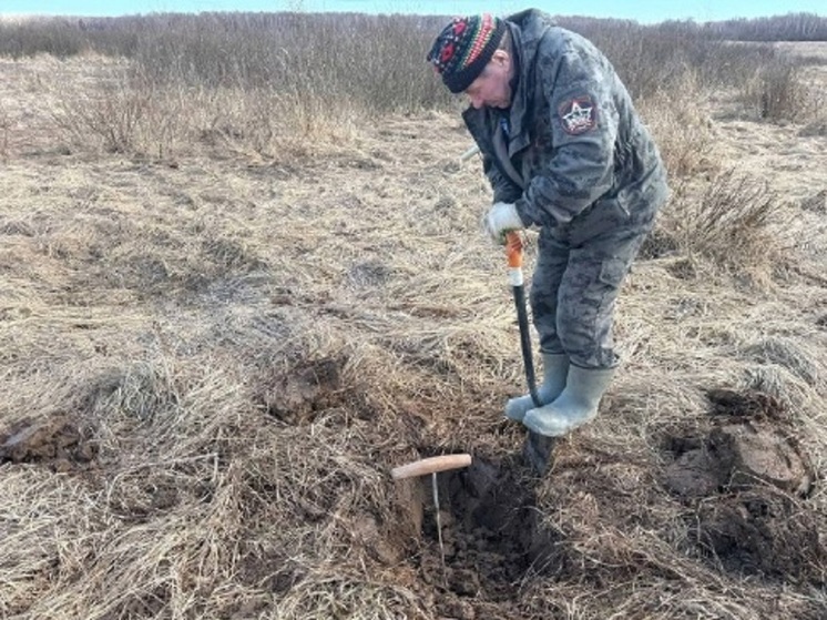 В Зубцовском округе Тверской области нашли останки неизвестного красноармейца