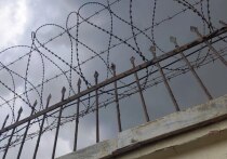 В Новгородском районном суде вынесли приговор 35-летней жительнице Великого Новгорода, которую признали виновной в совершении десяти эпизодов мошенничества