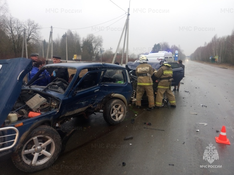 В Перемышльском районе ДТП с пострадавшим