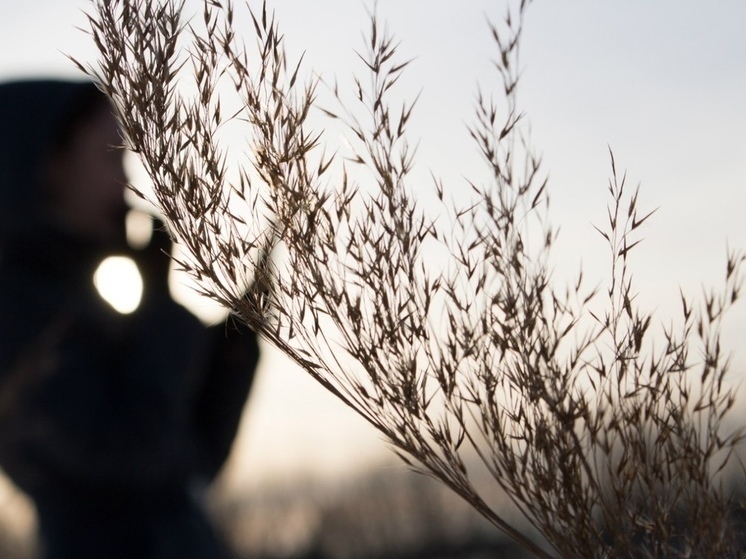 15 марта церковь отмечает день мученика Феодота Киринейского