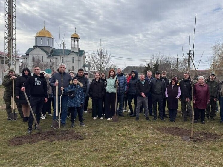 В Железном порту высадили деревья в 81-ю годовщину освобождения Херсона от захватчиков