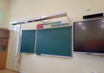 Петербургские полицейские проводят проверку в школе на улице Бестужевской