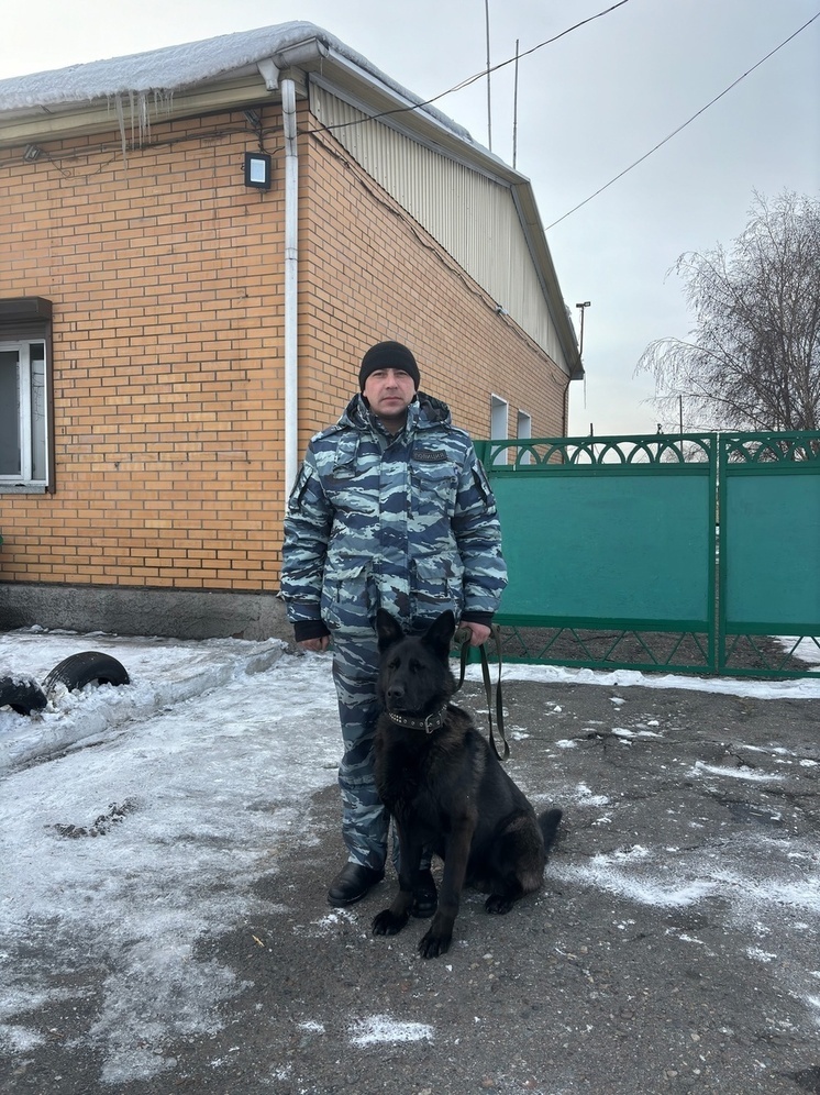 В Кызыле  пес по кличке «Волк» помогает полицейским раскрывать кражи