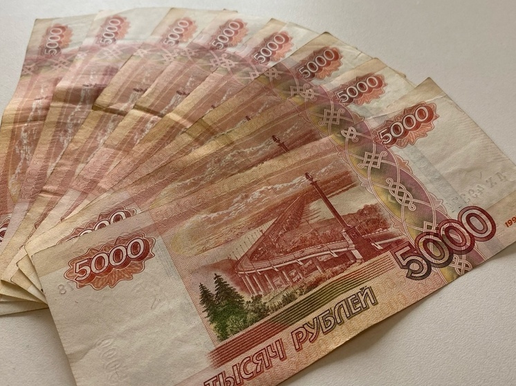 Под Новосибирском построят завод по производству лапши за 13 миллиардов рублей