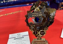 С 11 по 16 марта 2025 года в Кемерово проходит Первенство России по одному из самых зрелищных видов спорта - универсальному бою