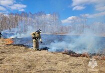 О последних пожарах рассказали в краевом МЧС