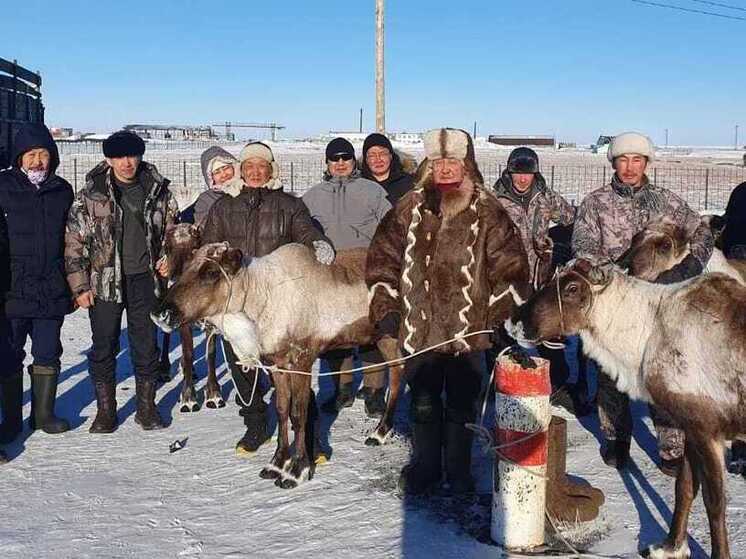 Законодательные изменения в защите прав коренных народов Севера