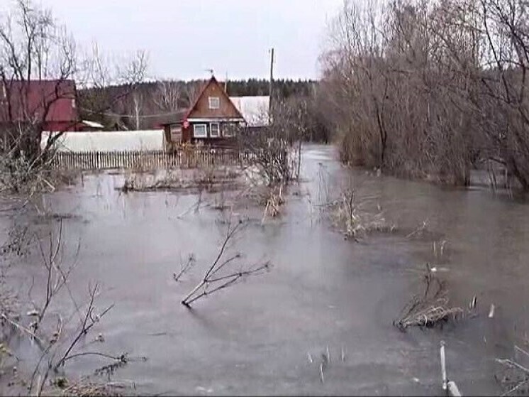 В Новосибирской области назвали районы, где ожидается паводок