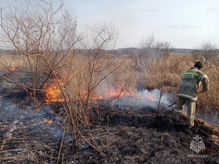 На Орловщине с начала года произошло свыше 100 сухотравных пожаров