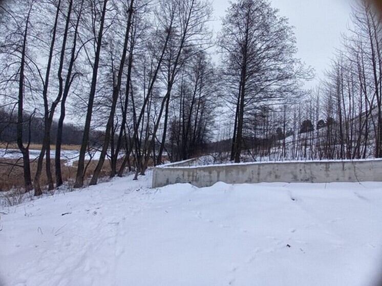 Жители деревни пожаловались на невозможность подойти к реке Воронеж