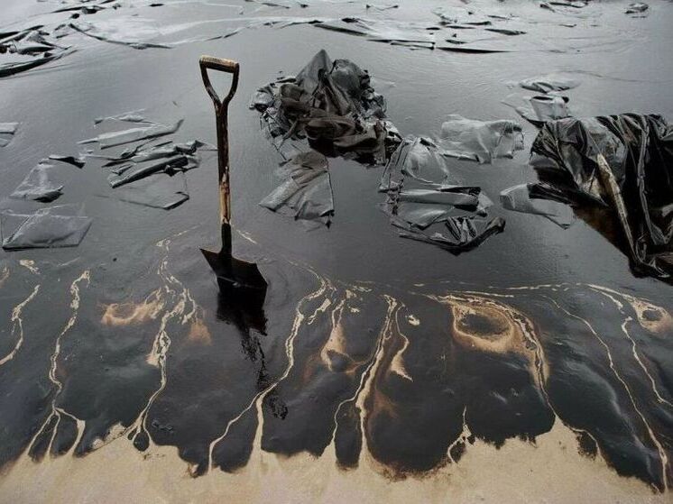 Специалисты из Башкирии применяют собственную технологию для очистки Черного моря от мазута