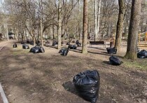 Согласно исследованию сервиса SuperJob, только 23% компаний в Мурманске проводят субботники. Участвовать в уборке города на безвозмездной основе чаще готовы женщины старше 45 лет.