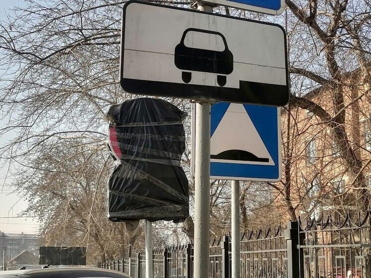 Иркутяне помогают улучшить безопасность дорожного движения через Платформу обратной связи