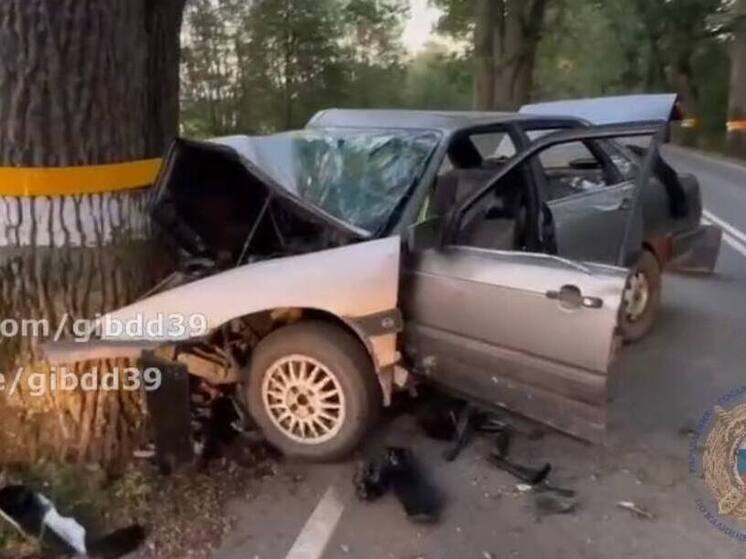 Правдинский водитель пойдет под суд за ДТП с пострадавшим