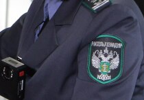 В марте этого года проверяющие из Россельхознадзора по Красноярскому краю взяли на анализ колбасу местного производителя ООО «Расколбас»