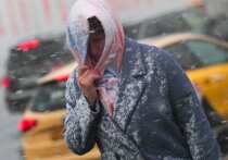В столичном регионе уже наблюдаются местами сильные порывы ветра