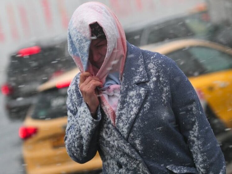 Во дворе на улице Трехгорный вал дерево рухнуло на машину с водителем