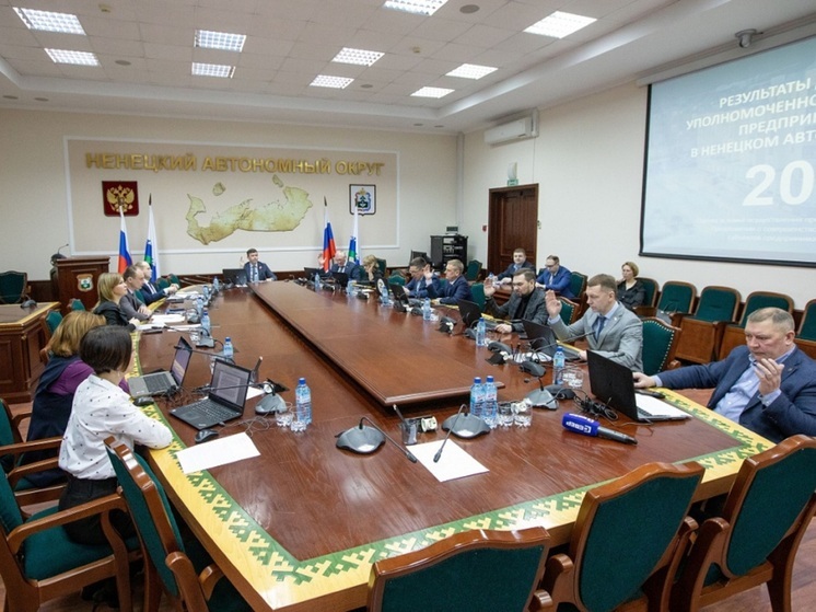 За год бизнес-омбудсмен в НАО получил 293 обращения