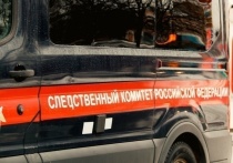 Директор компании по производству офисной мебели пострадал в результате сегодняшней стрельбы в Коммунарке (Новая Москва), на улице Липовый парк