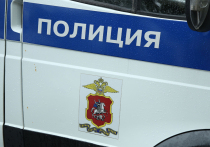 Выяснились детали инцидента на улице Липовый парк (Новая Москва), где сегодня произошла стрельба в непосредственной близости от частного детского сада