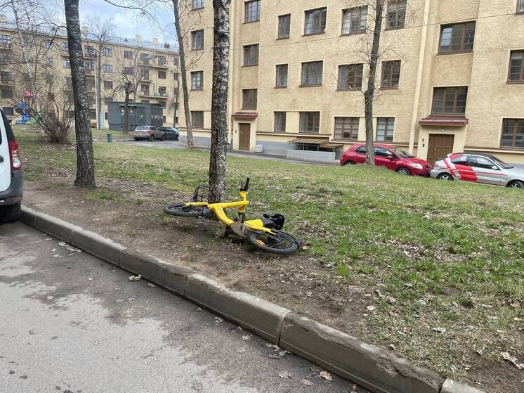 Полиция ищет велосипедиста, который сбил новгородку на Большой Московской