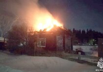 Томские спасатели спасли двух жителей дома в Кривошеино от гибели на пожаре
