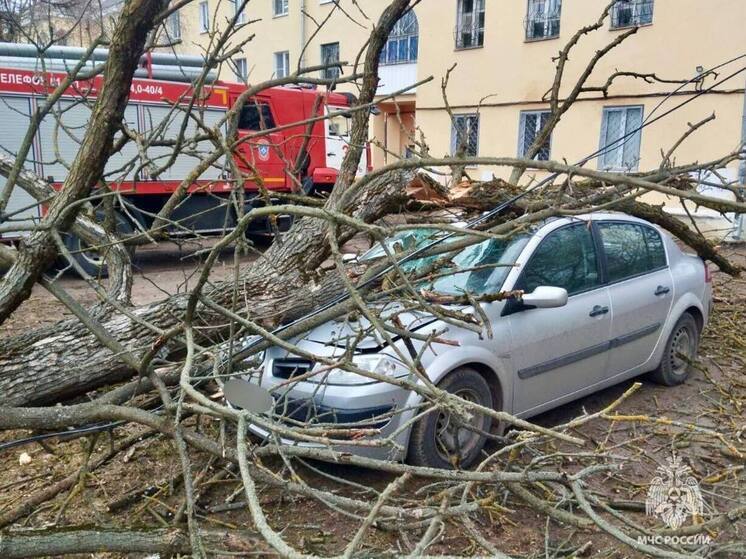 Еще одно дерево упало на автомобиль из-за сильного ветра в Твери