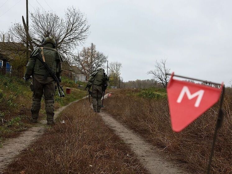 Курские власти ввели запрет на посещение поселков шести приграничных районов