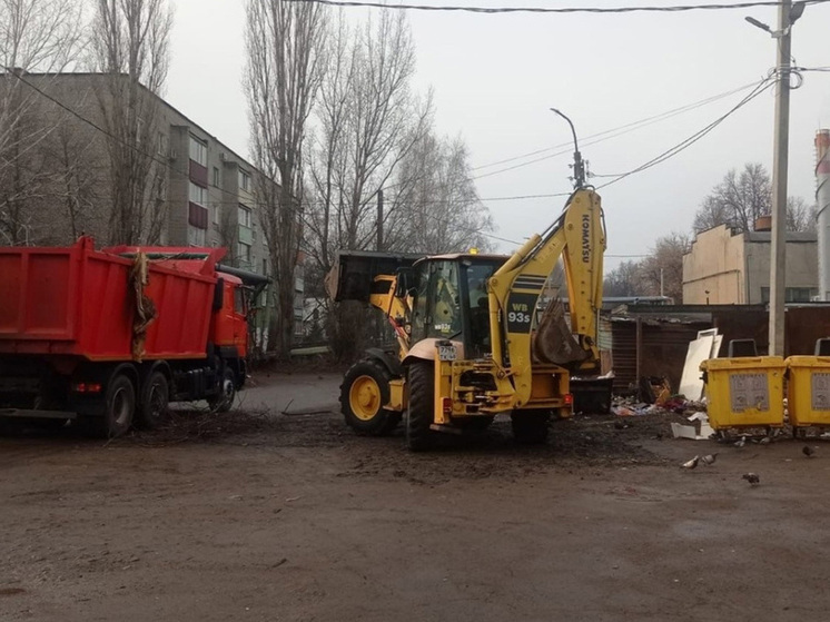 В Тамбовской области борются с мусорными навалами