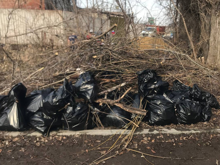 В Тамбове начался весенний месячник по наведению чистоты и порядка