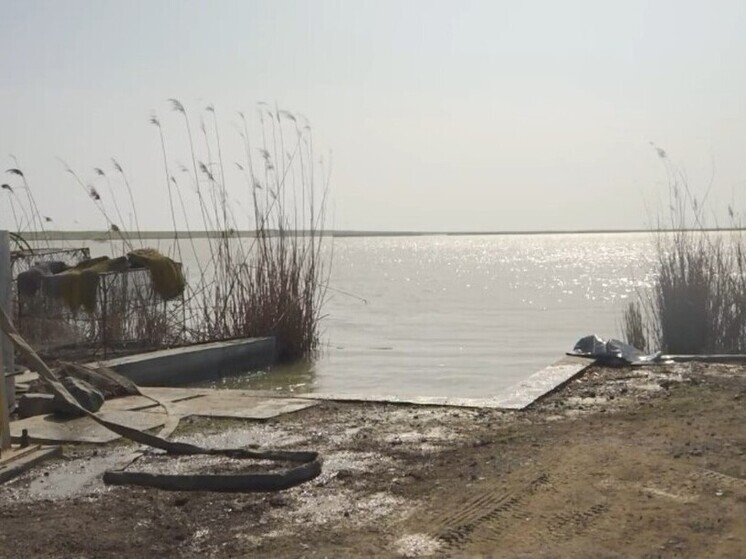 Сезон зарыбления водоемов идет полным ходом в Херсонской области