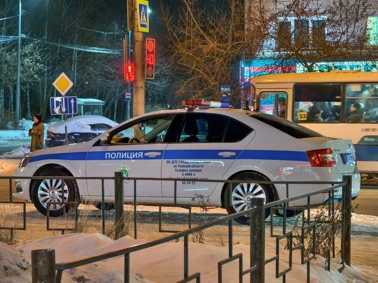 В Томске мошенники крадут доступ к «Госуслугам» под видом замены домофона