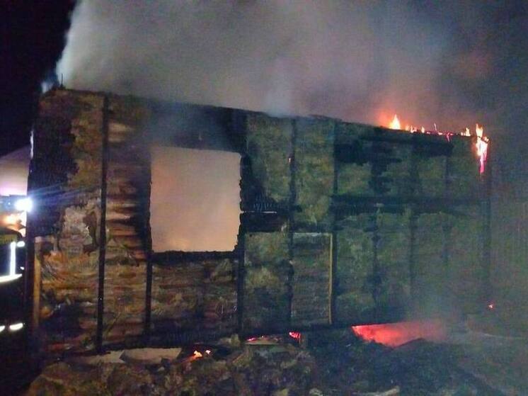 Причиной смертельного пожара в боровской деревне стала неисправность печи