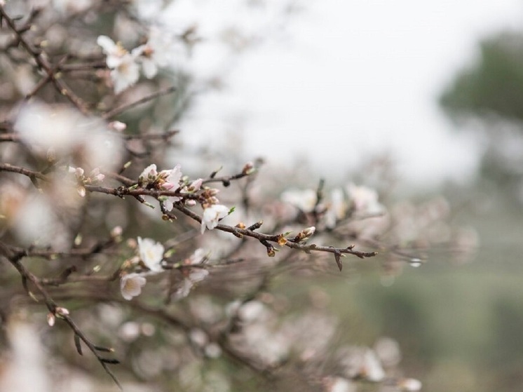 «Весеннее обострение»: волгоградцам рассказали, как избежать плохого самочувствия в межсезонье