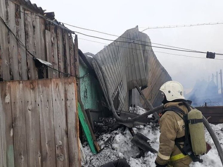 Три коровы и пятьдесят кур погибли на пожаре в Омской области