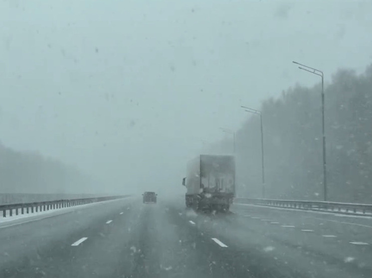 МЧС предупредил об ухудшении погодных условий в Подмосковье