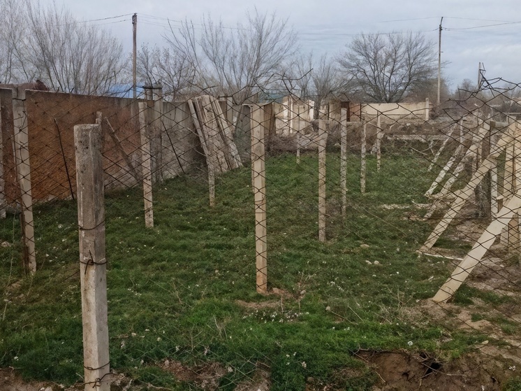 В Херсонской области модернизируют приют для бездомных животных