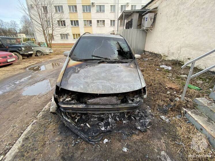 В Тверской области огонь уничтожил двигатель иномарки