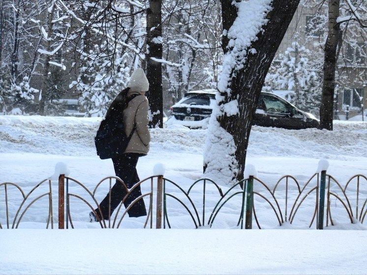 Метеоролог Тишковец рассказал о заморозках и снеге в Москве и Московской области