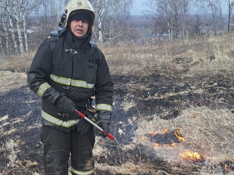 За один день во Владимирской области произошло шесть пожаров сухой травы